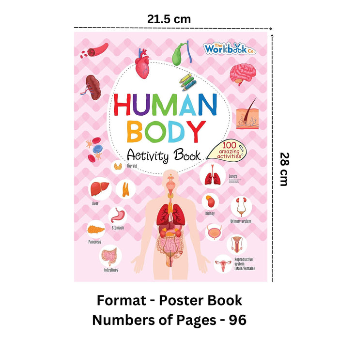Human Body - Activity Book