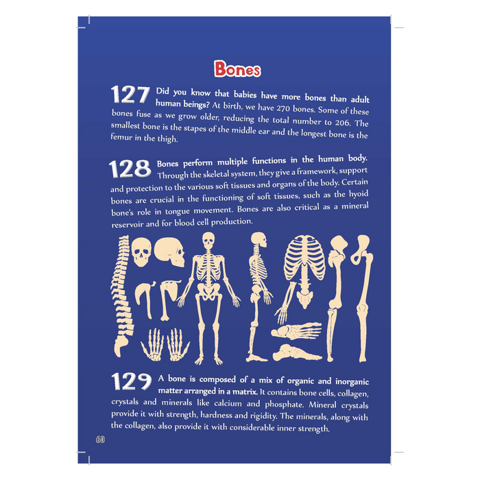 500 Facts - Human Body