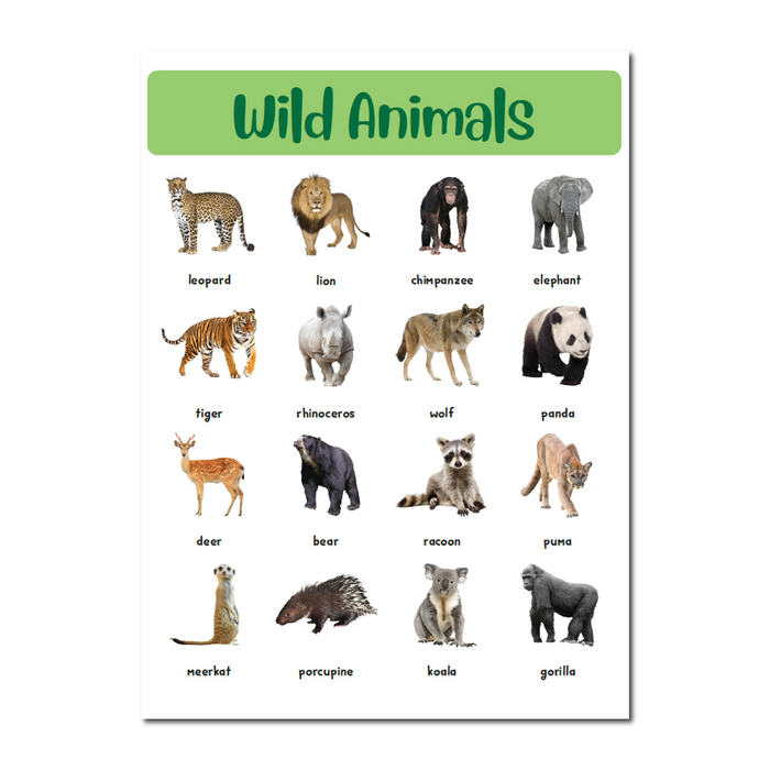 400+ Ultimate Stickers Book - Animals and Birds