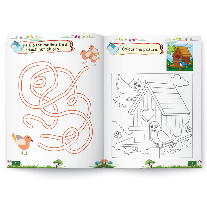 Birds - Activity Book