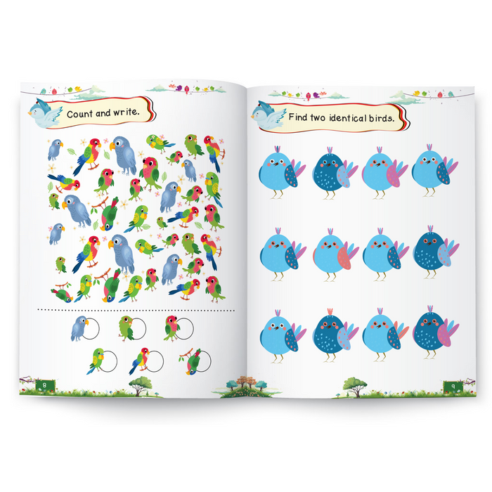 Pegasus Activity Book : Birds