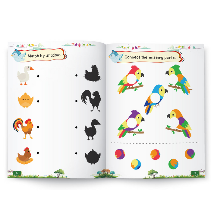 Pegasus Activity Book : Birds