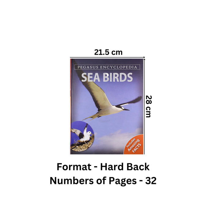 Sea Birds: 1 (Sea World)