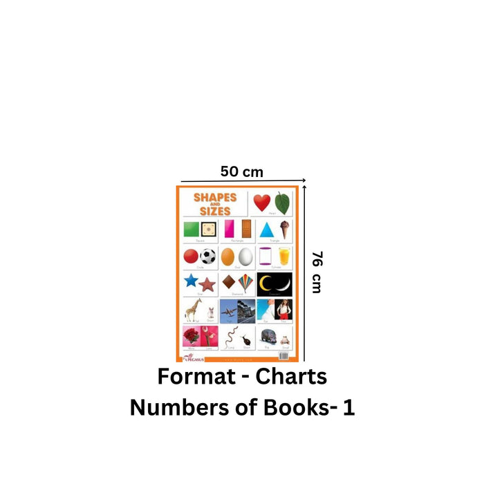 Shapes & Sizes - Thick Laminated Preschool Chart