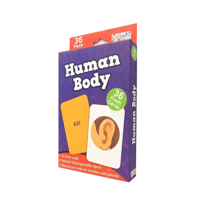 Human Body - Flash Cards