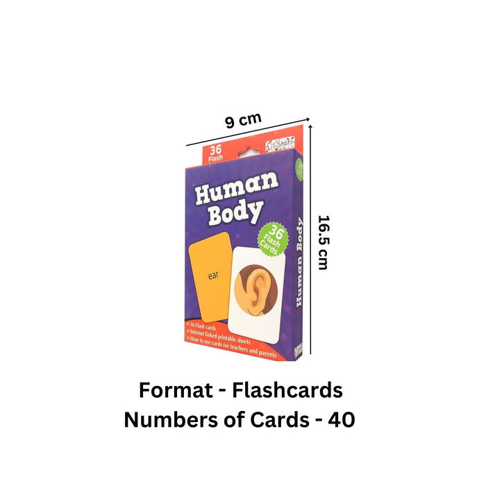 Human Body - Flash Cards