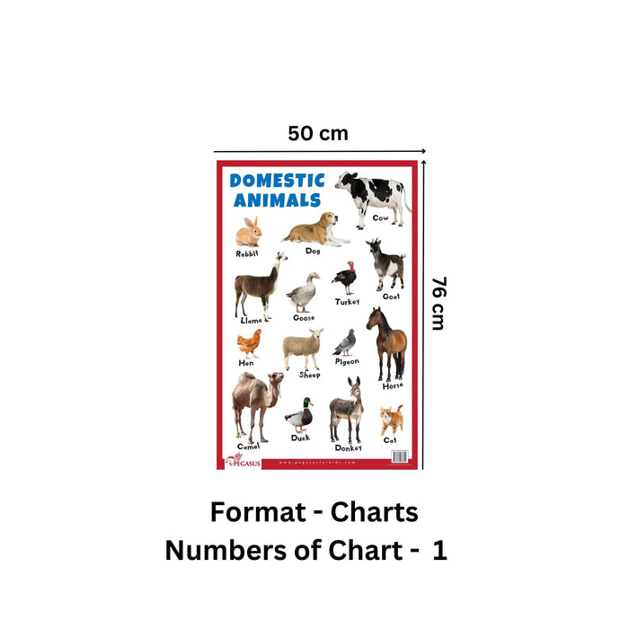 Dead Animal Chart.pdf Domestic Animals - Thick Laminated Primary Chart — pegasusforkids