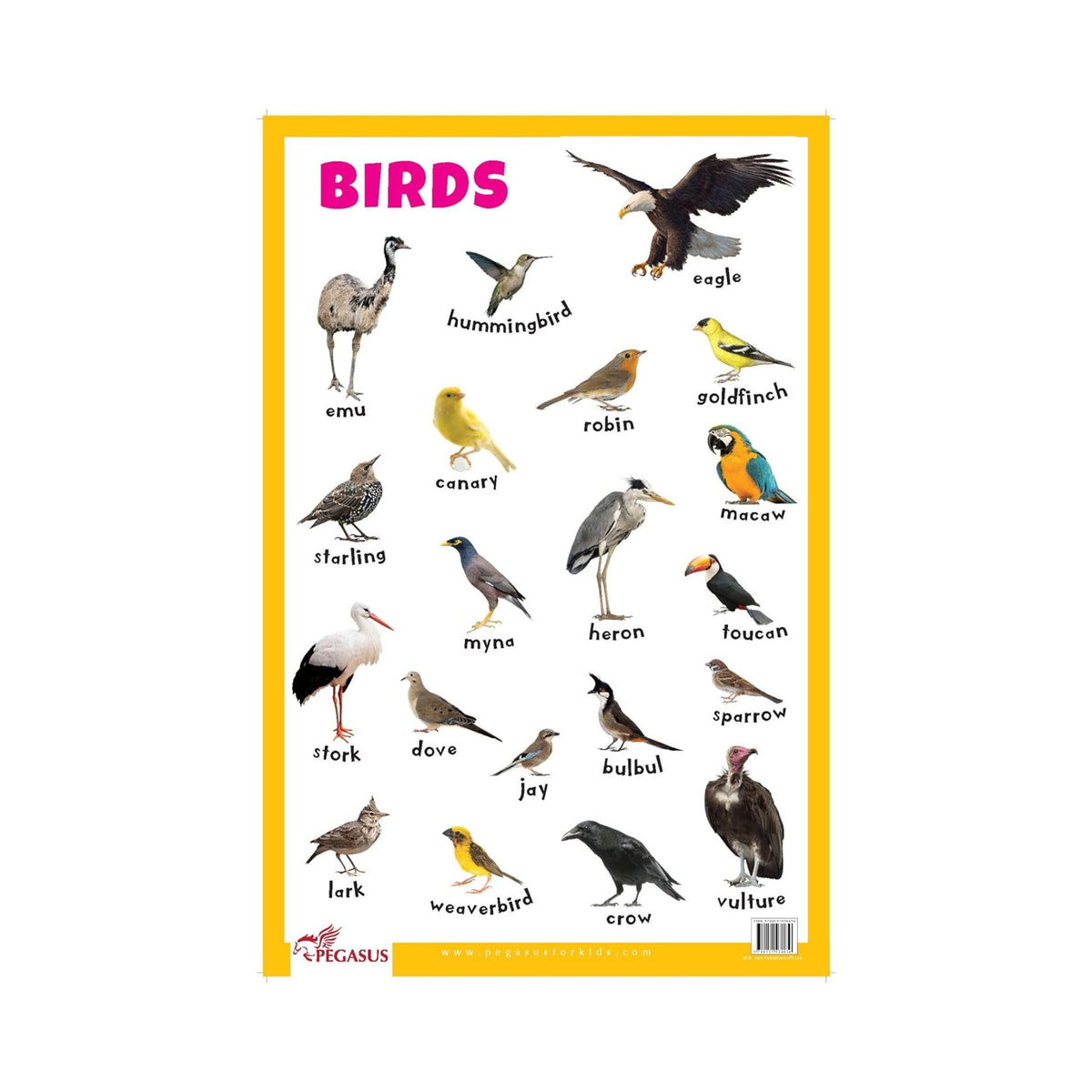 Birds Thick Laminated Primary Chart Pegasusforkids