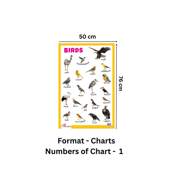 Birds Chart.pdf Birds - Thick Laminated Primary Chart — pegasusforkids