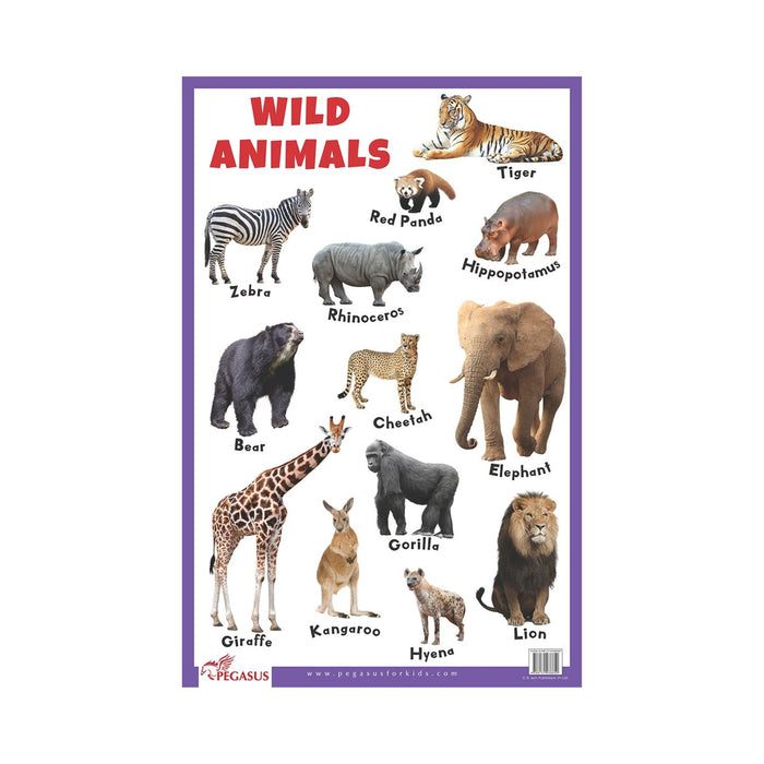 Wild Animals poster charts, Illustrated Wild Animals Charts