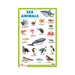 Illustrated ocean creatures Chart, Sae Animals Charts