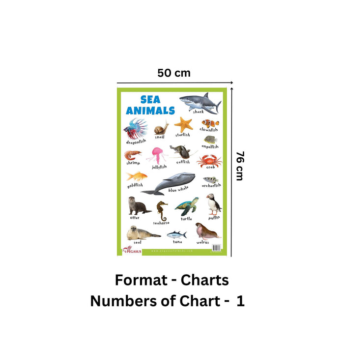 Sea Animals Thick Laminated Primary Chart Poster — pegasusforkids