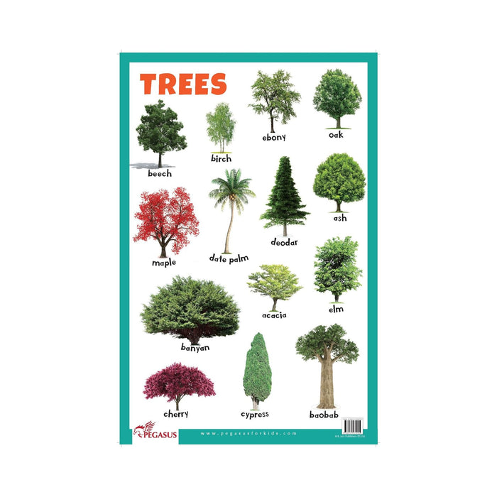  Early Learning Trees Wall chart, Educational children Trees Science chart