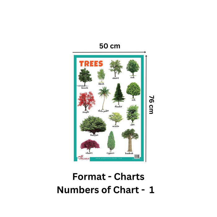 Trees - Thick Laminated Primary Chart