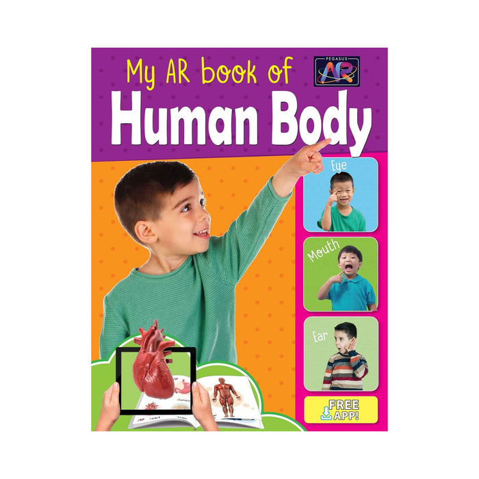 Human Body Early Book,Early Learning Human Body Book