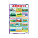 Landforms charts for early children's, landforms charts & flashcards for children