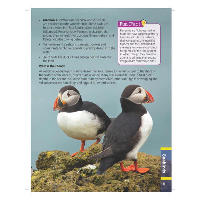 Ocean World Children's Encyclopedia