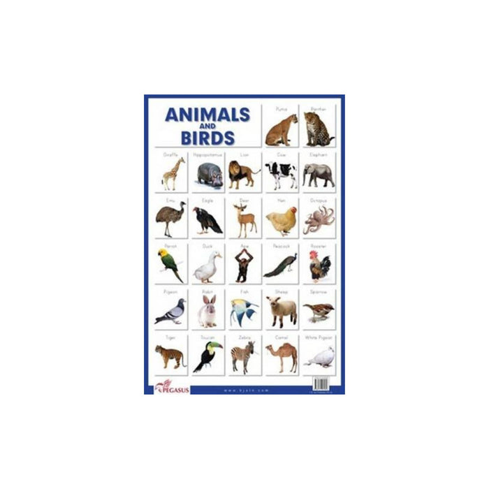 Animals & Birds - Thick Laminated Educational Chart