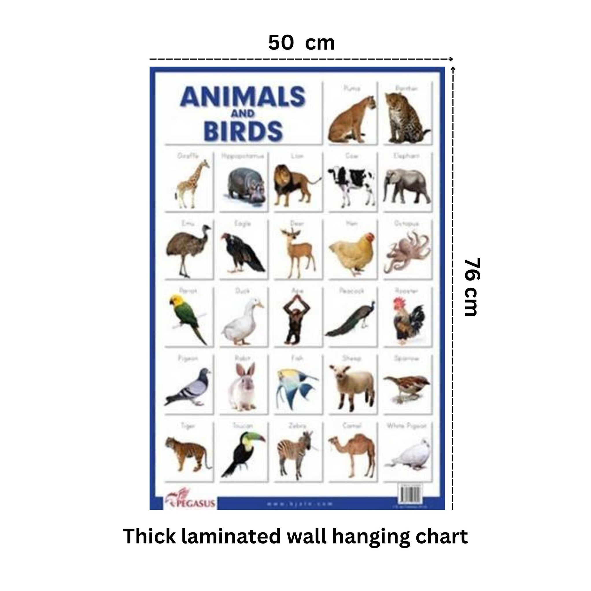 Animals & Birds - Thick Laminated Educational Chart — pegasusforkids