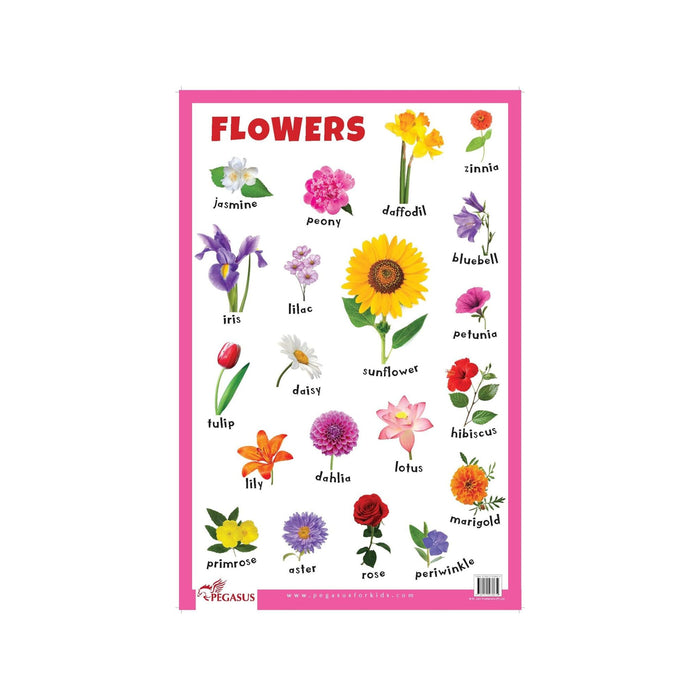 Early Childrens Flowers Chart, Flowers learning Chart for children's 