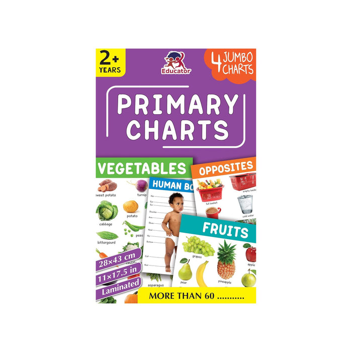 Primary Learning Charts - 4 Jumbo Charts